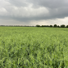 2025_05_07_1500x1125