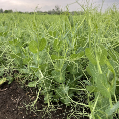 2025_05_07__1500x1125