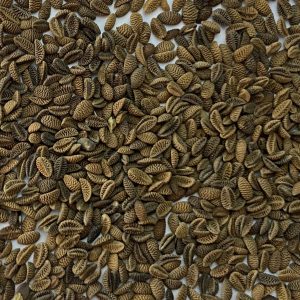 Facélia [20kg/zsák]