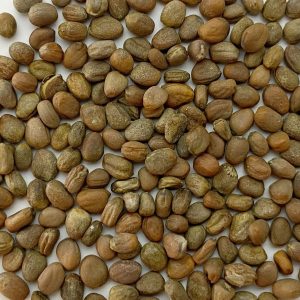 Olajretek [25kg/zsák]