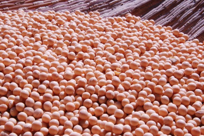 Időben készüljön a tavaszi vetésre!