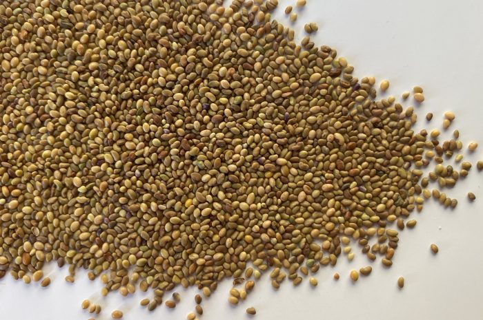 AKG és ÖKO pályázati felhívások módosítása – zöldugar fajok, vetésszerkezeti előírások